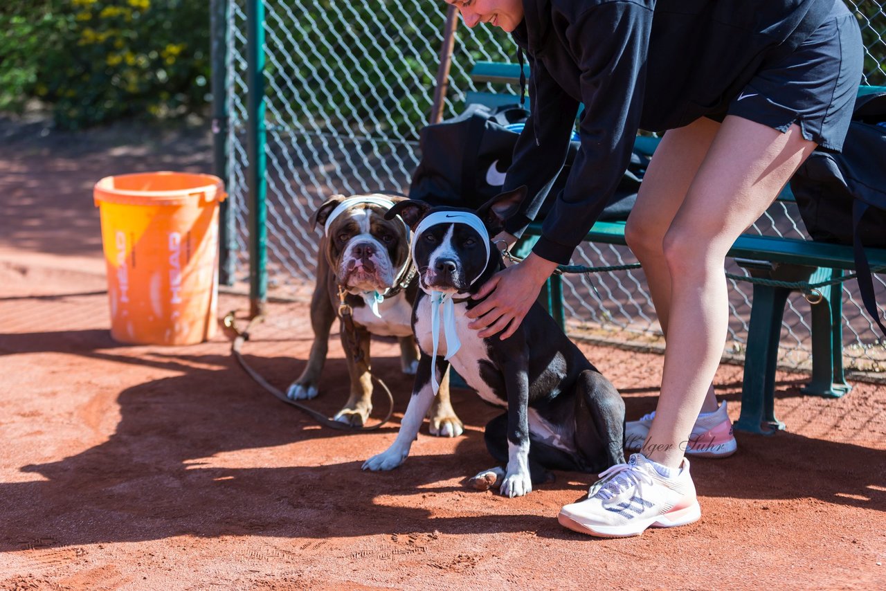 Trainingstag am 20.4.19 1 - Training mit Carina